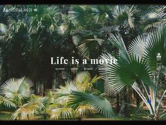 -中国科学院西双版纳热带植物园