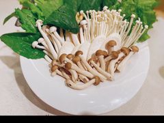 -九府羊鲜羊火锅·烧烤·小海鲜(华汇大厦店)