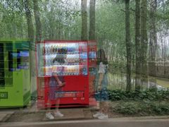 -合肥滨湖国家森林公园