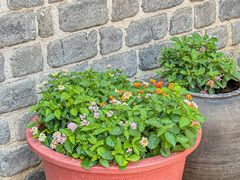 -瓦库茶馆17号(海汇港店)