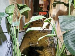 -邈墨茶馆(凤起路店)