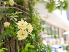 -Beans Solo豆号咖啡(百家湖花园店)