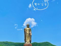 -中原大佛景区