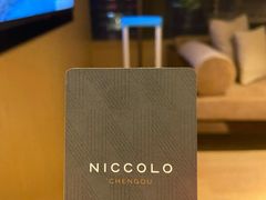 -成都尼依格罗酒店