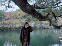 -上坦村