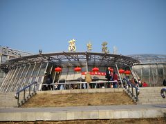 -北京植物园-展览温室