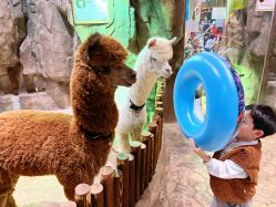 -宝燕乐园(闵行旗舰店)