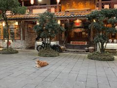 -青城甲(青城山店)