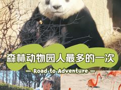 -大连森林动物园