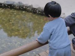 -蒙蒙狮蒙台梭利儿童之家
