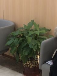 -上海伊莱美医疗美容医院