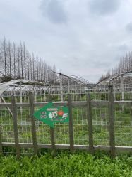 -前小桔亲子创意农场·草莓采摘·露营烧烤
