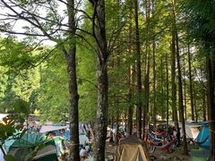 -武陵山森林公园