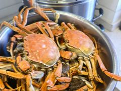 -天鹅到家·保姆月嫂育儿嫂(南开店)