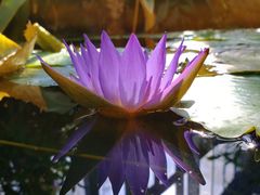 -国家植物园南园