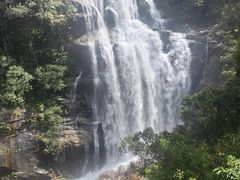 -海南热带雨林国家公园吊罗山景区