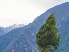 -叠溪松坪沟景区