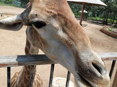 -大连森林动物园