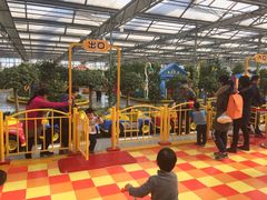 -南宫五洲植物乐园