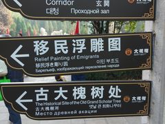 -大槐树寻根祭祖园