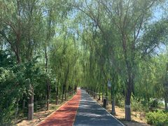 -大兴滨河森林公园