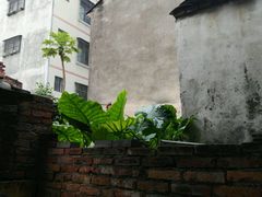-陈氏老字号十三小炸炸店