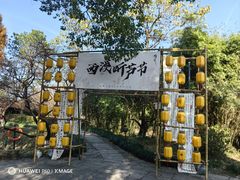 -西溪国家湿地公园