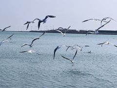 -星海广场