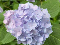 -常州古运河南大街文化旅游区-人民公园