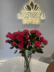 -雅荷悦来双美