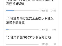 -老王豆皮