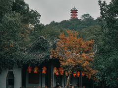 -惠山古镇·寄畅园