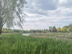 -水西公园