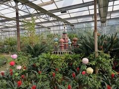 -南宫五洲植物乐园