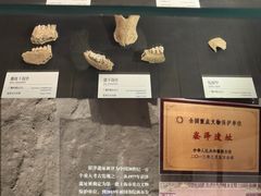 -上海崧泽遗址博物馆