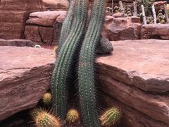 -南通洲际绿博园