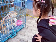 -季高兔窝窝亲子园(上海薰衣草公园店)