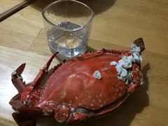 树军活海鲜-张树军海鲜(王府壹号店)