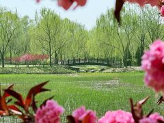 -北坞公园