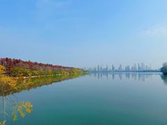 -金银湖国家城市湿地公园