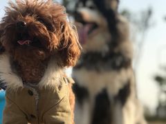 -顾村公园3号门停车场