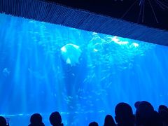 -华夏文旅西安度假区