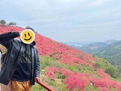 -木兰云雾山
