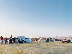 -春花秋色城市公园