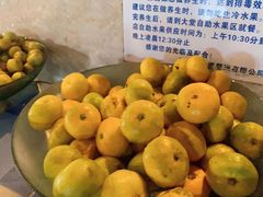 -新盈光·旗舰店(海曙苍松路店)