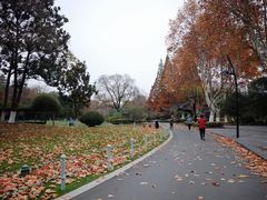 -红梅公园