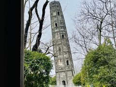 -上海佘山国家森林公园天马山园