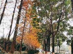 -河海大学(常州校区)