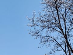 -武汉美术馆(汉口馆)