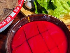 -楠火锅(绿地新都会店)